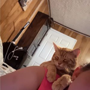 Meet your Posher, Mackenzie